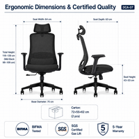 Chaise de conférence moderne ergonomique avec base à patins sans roulettes et dossier en maille pour salle de réunion, formation et conseil d'administration