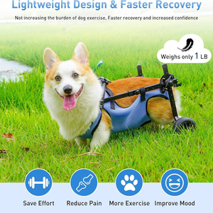 Hot Selling <b>Portable</b> Acrylic Pet <b>Wheelchair</b> for Chickens Hind Limb Paralysis Disabled Rehabilitation Walking Assistance Car - Product Image 5