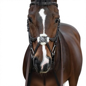 Brida Inglesa con Cabezal Anatómico y Narquileras de Salto, Acolchada Suave, de Cuero Genuino Hecha a Mano para Caballos - Product Image 5