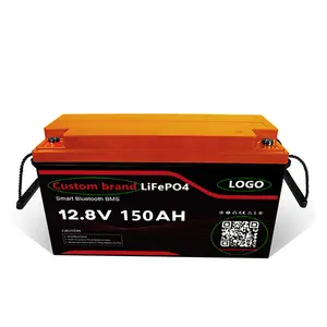 100ah 200ah 300ah 400ah Lithium Ion Battery Pack Long Life LiFePO4 LFP Deep Cycle 6000times Battery With Bluetooth