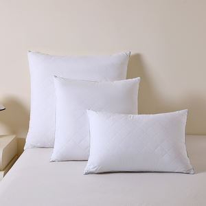 100% Polyester 50x70/65x65/80x80cm Coussins et oreillers matelassés à ultrasons - Product Image 1