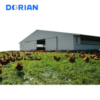 Poulailler en métal préfabriqué de bâtiment de ferme de poulailler de structure en acier