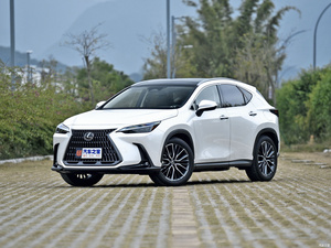 Déflecteurs de fenêtre latérale pare-pluie pour Toyota Cruiser 2019-2020 accessoires auto - Product Image 3