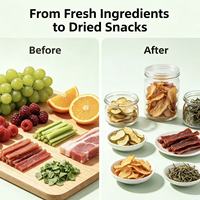 Nieuwe elektrische voedseldroger, design voor op het aanrecht, regelbare temperatuur, fruit- en jerkymaker, groente- en dierenvoedseldroger
