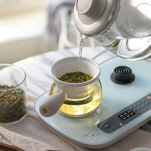 Bear Electric <b>Tea</b> <b>Maker</b> ZCQ-A08E1 0.8L Temperature Control Health Pot Office Use - Product Image 2