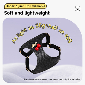 สายรัดสัตว์เลี้ยงสุดหรูกันน้ำสำหรับแมวและสุนัขขนาดเล็ก-ขนาดกลางกันคราบเสื้อกั๊กเชือกจูงสุนัขเดินแฟชั่นบุหัวเข็มขัด - Product Image 2