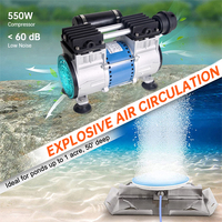 Nouveau Compresseur d'Air Portable Mini à Piston Sans Huile 220V/110V 500W Durable avec Moteur pour l'Aération en Pisciculture et Aquaculture