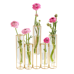 Wrought Iron Hydroponic Cylindrical Geometric Glass Flower Tube <b>Vase</b> Metal Frame Tabletop Art Deco Modern Indoor <b>Decoration</b> Size - Product Image 1