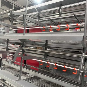 Tự động Gà Thịt gà lồng gà lồng miễn phí phạm vi gà lồng miễn phí cho bán - Product Image 6