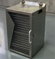 Déshydrateur alimentaire industriel à grande capacité avec cœur de chauffage stable pour une ligne de production complète de déshydratation de snacks
