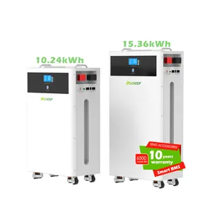 Conception modulaire 48V 15kWh Système de stockage d'énergie pour maison mobile Cycle de vie de la batterie LiFePO4 6500 fois batterie solaire hors réseau