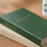 Carnet en cuir PU souple avec pages intérieures vierges, lignées ou quadrillées, agenda personnalisable pour le bureau ou comme cadeau