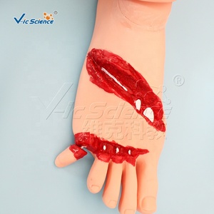 Modelo Humano Avanzado para Enfermería de Trauma con Simulación de Hemorragia para Entrenamiento de <span class=keywords><strong>Primeros</strong></span> <span class=keywords><strong>Auxilios</strong></span> - Product Image 2