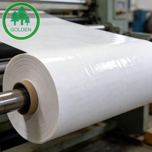 Papel C1S de Alta Resistencia a la Humedad para Envasado de Bebidas y Alimentos Congelados, el Más Vendido en el Mercado de Ecuador - Product Image 3