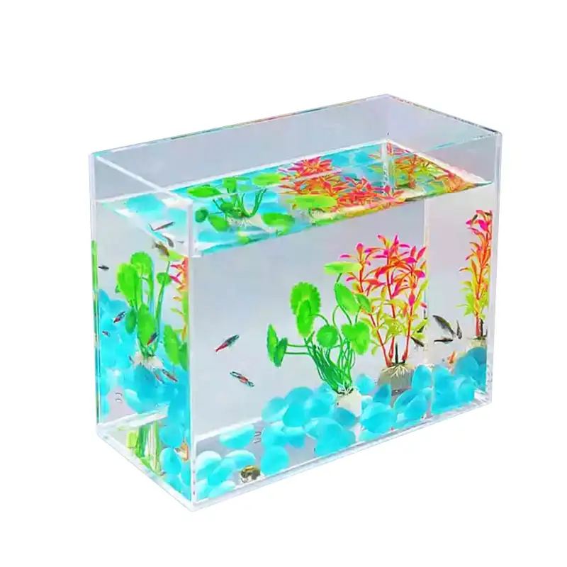 Aquarium de poisson en acrylique forme petite ou grande, à suspendre ou à poser sur une Table de thé, vente en gros, offre spéciale