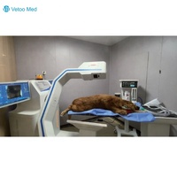 Escáner CBCT Veterinario que Rompe las Limitaciones de Tamaño con un Campo de Visión Extra Grande para Grandes Daneses, Razas Grandes y Animales Grandes