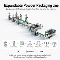 Petite tarière automatique de haute précision remplissant la machine à emballer de poudre de collagène d'enzyme de sachet de coin rond