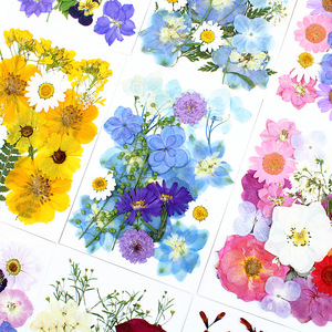 Kit <span class=keywords><strong>de</strong></span> Manualidades con Flores Prensadas Naturales Mixtas, Flores Secas Reales para Resina Epoxi, Decoración <span class=keywords><strong>de</strong></span> Uñas, Manualidades, Creación <span class=keywords><strong>de</strong></span> Adornos - Product Image 2
