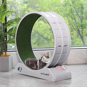 <span class=keywords><strong>ล้อ</strong></span>หมุนสำหรับ<span class=keywords><strong>แมว</strong></span>ขนาดเล็กขนาดกลางขนาดใหญ่ - Product Image 1