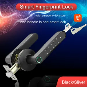 WAFU WF-016B Tuya Khóa Thông Minh Mười Số & Khóa Kỹ Thuật Số Bảo Mật Văn Phòng Điện Tử Khóa Cửa Thông Minh Khóa Vân Tay Khóa Thông Minh - Product Image 5