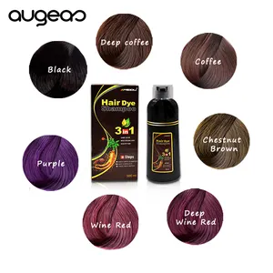 500ml Haarfarbe Shampoo Benutzer definiertes Logo Private Label Bio Ammoniak frei Permanent Premium Vip Magic Haarfarbe Shampoo
