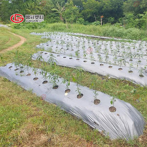 2 m <span class=keywords><strong>de</strong></span> <span class=keywords><strong>paillage</strong></span> d'agriculture en plastique <span class=keywords><strong>de</strong></span> qualité supérieure, <span class=keywords><strong>pour</strong></span> paillette d'agriculture, tomate - Product Image 1