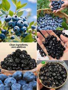 Toptan Organik Doğal Kurutulmuş Tatlı Yaban Mersini FD Vakumlu Paketlenmiş Toplu Atıştırmalıklar - Product Image 2