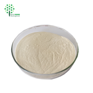 Cibo alla rinfusa estratto di frutta <span class=keywords><strong>Papaya</strong></span> in polvere integratore papaina in polvere - Product Image 4