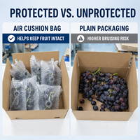 Barrière anti-humidité gonflable pour sacs de raisins, protection contre la condensation, extension de la fraîcheur pour produits frais, saveur originale