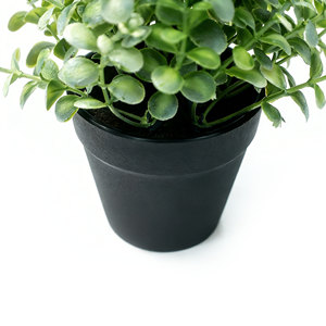 Plante artificielle <span class=keywords><strong>en</strong></span> <span class=keywords><strong>pot</strong></span> avec feuilles de faux <span class=keywords><strong>eucalyptus</strong></span> et terreau synthétique, vente <span class=keywords><strong>en</strong></span> gros, verdure décorative <span class=keywords><strong>pour</strong></span> la maison - Product Image 5