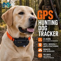 Traceur GPS intelligent 4G pour animaux de compagnie avec contrôle par application, étanche IP67, batterie 4000 mAh et positionnement multi-satellites pour chiens OEM/ODM