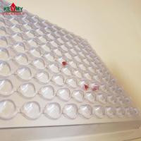 Plateaux personnalisables en PET/PVC écologiques avec couvercles pour le transport de lentilles – Taille et couleur personnalisables – Origine Shenzhen