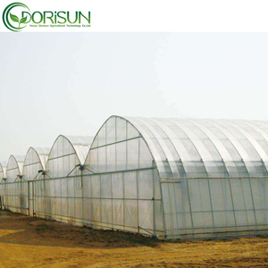 Sistema de Refrigeración con Malla para Insectos, Invernadero Agrícola de Película de PE, Túnel de Cultivo de Múltiples Tramos con <span class=keywords><strong>Precio</strong></span> Reducido - Product Image 3