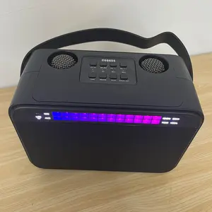 Uzaktan kumanda ile kablosuz Blueteeth mikrofon taşınabilir el hoparlör Karaoke makinesi tarzı çocuklar için renkli LED ışık