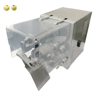 Automatische Mango Peeling Machine Apple Snijmachine Apple Coring Snijmachine