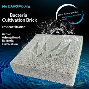 Brique divine MoLiang pour <span class=keywords><strong>aquarium</strong></span> nano marin : filtration <span class=keywords><strong>de</strong></span> déionisation, dénitrification et bactéries nitrifiantes - Product Image 2