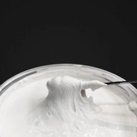 Revêtement thermique moderne en aérogel liquide nano anti-chaleur, résistant au feu, sans formaldéhyde, peinture insonorisante pour bâtiments