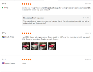 Đồ trang trí Giáng sinh để bàn AYOYO cổ điển kết hợp hiện đại, cây thông nhân tạo mini trang trí bàn 20 CM - Product Image 6