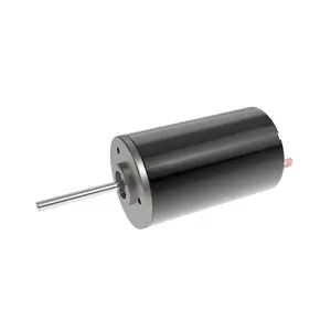 4066 buena calidad personalizable alto par cepillo DC Motor 9V 10V 12V 16V tamaño 40mm potencia 1W 2W 3W 4W 5W