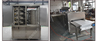 Machine automatique de fabrication de chocolat aux champignons Machine de fabrication de chocolat au lait laitier