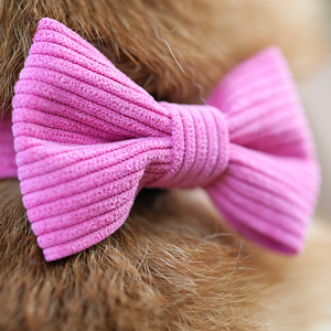 Okeypets Accessoires <span class=keywords><strong>pour</strong></span> animaux de compagnie : Nœuds papillon et colliers ajustables en velours côtelé <span class=keywords><strong>pour</strong></span> chiens – Mignons et abordables - Product Image 2