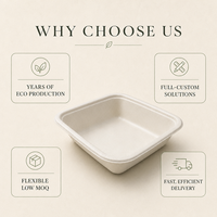 Barquette pour repas prêts à consommer en bagasse de canne à sucre avec revêtement PET, faible coût de moulage personnalisé, sans PFAS, compostable, pour aliments surgelés