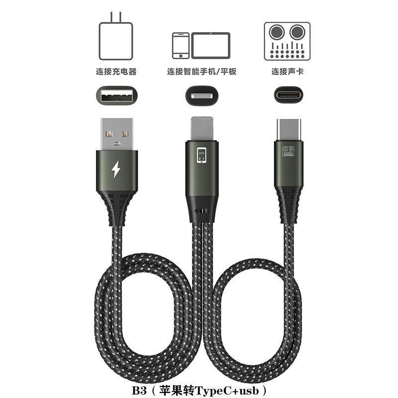 B4 (Apple to Type C+usb)