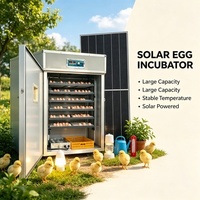 Incubateur d'œufs solaire 528 places avec contrôle automatique de la température, taux d'éclosion élevé, pour l'élevage avicole en ferme