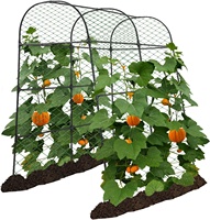 Arche de jardin en acier inoxydable pour plantes grimpantes, concombres, accessoires de clôture extérieure, filet de jardin, hauteur 7 pieds