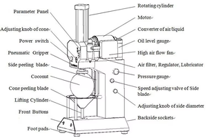 เครื่องปอกเปลือกมะพร้าวอ่อนอัตโนมัติ เครื่องตัดแต่งมะพร้าวอ่อน ทำให้มะพร้าวอ่อนเป็นรูปทรงสวยงาม ผลิตจากสแตนเลส 304 - Product Image 6