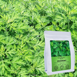 Grosir kualitas Premium kering besar daun <span class=keywords><strong>Mugwort</strong></span> alami Artemisiae Argyi herbal longgar kering Ai Ye <span class=keywords><strong>Mugwort</strong></span> Bay daun untuk Kesehatan - Product Image 3