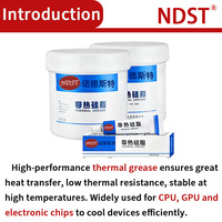Pâte thermique conductrice en silicone liquide gris et blanc NDST, colle de scellement thermique 100g pour le refroidissement des équipements de communication