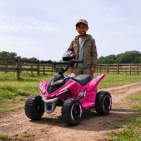 Vente en gros d'usine - Quad électrique pour enfants de 2 à 4 ans, voiture jouet à batterie, buggy de plage à 4 roues pour tout-petits