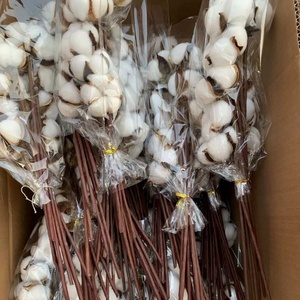 Wholesale Dried Flower Branches Handmade 10 Heads <strong>Cotton</strong> <strong>Stems</strong> for DIY Event Party Decorations - Product Image 6